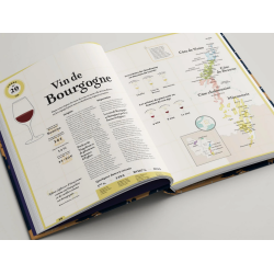 Le Tour du Monde en 80 verres : Atlas des Alcools du Monde (french edition)