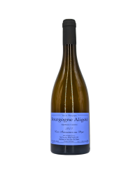 Burgundy White Aligoté "Les Auvonnes au Pépé" 2021 | Wine from Domaine Sylvain Pataille