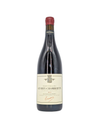 Gevrey-Chambertin red 2015 | Wine from Domaine Trapet Père et Fils