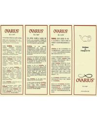 Decanter Ovarius, the revealer of your wines