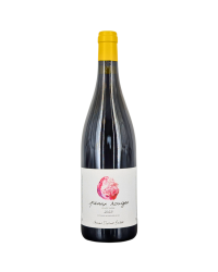 Coteaux Bourguignons Rouge "Peaux Rouges" 2023 | Wine from Domaine Maxime Dubuet Boillot