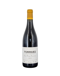 Pommard Red "Les Deux Terroirs" 2022 | Wine from Domaine Maxime Dubuet-Boillot