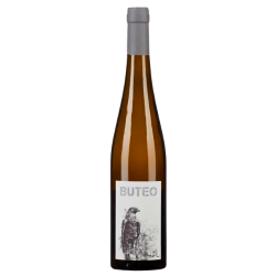 2020 Buteo Weinviertel Orange Wine - Domaine Michael Gindl