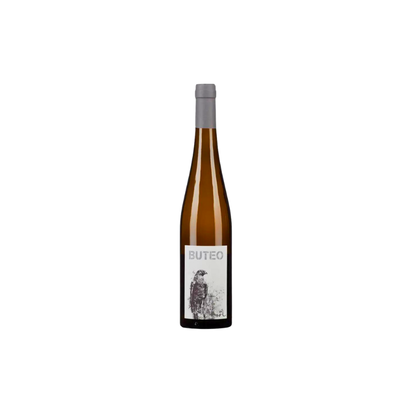 2020 Buteo Weinviertel Orange Wine - Domaine Michael Gindl