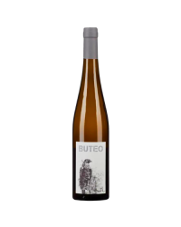 2020 Buteo Weinviertel Orange Wine - Domaine Michael Gindl