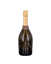 Champagne Extra-Brut "Cuvée Irizée Meunier" vintage 2016 | Wine from the estate Régis Poissinet