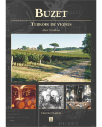 Buzet: vineyard terroir - Alain Paraillous | Alan Sutton