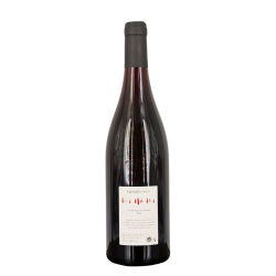 VDF Red "Les Hâtes" 2023 | Wine from Domaine Raphaëlle Guyot