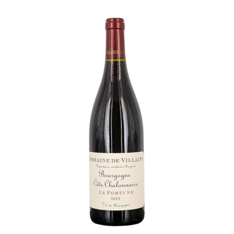 Bourgogne Côte-Chalonnaise red "La Fortune" 2022 | Wine from Domaine de Villaine