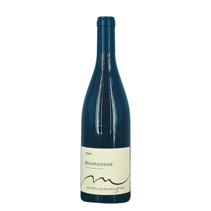 Bourgogne Rouge 2022 | Wine from Domaine Lucien Muzard & Fils