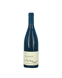 Bourgogne Rouge 2022 | Wine from Domaine Lucien Muzard & Fils