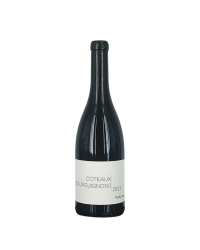 Coteaux Bourguignons Red 2021 | Wine from Domaine Marthe Henry