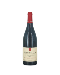 Morgon Rouge "La Voute St Vincent" 2023 | Wine from Domaine Louis Claude Desvignes