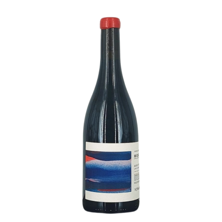 Morgon Rouge "Aux Pierres Javernières" 2022 | Wine from Domaine Louis Claude Desvignes