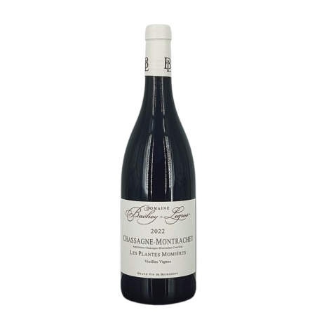 Chassagne-Montrachet Red "Les Plantes Momières" Old Vines 2022 | Wine from Domaine Bachey-Legros