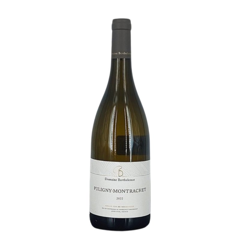 Pulligny-Montrachet Blanc 2022 | Wine from Domaine Berthelemot