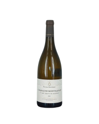 Chassagne-Montrachet 1er Cru Blanc "Abbaye de Morgeot" 2022 | Wine from Domaine Berthelemot