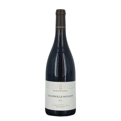 Chambolle-Musigny Red 2022 | Wine from Domaine Berthelemot