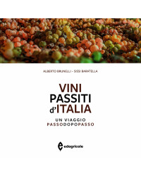 Vini passiti d'Italia : Un viaggio passo dopo passo di Alberto Brunelli & Sissi Baratella (Italian edition)