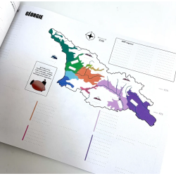 Practise Wine Maps: World 2nd edition - 100 empty maps by Lea Gatinois DipWSET | Amble Wine (Edition in English)