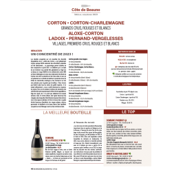 Bourgogne Aujourd'hui No. 178: Special 2023 Vintage (French edition)