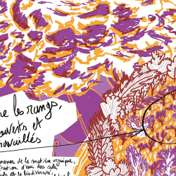 Revue Vinofutur n°1 - Wine in the Face of Climate Change (French Edition)