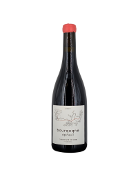 Bourgogne Rouge Epineuil 2020 | Wine from Domaine Gruhier