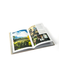 Vignerons Alpins - Emmanuel Renaut (French edition) by Isabelle Ambregna & Matthieu Cellard