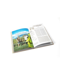 Vignerons Alpins - Emmanuel Renaut (French edition) by Isabelle Ambregna & Matthieu Cellard