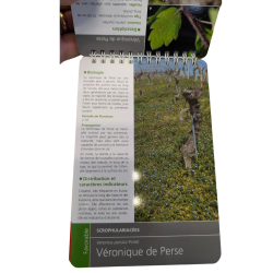 Flore des vignes, Pocket Guide for the Winemaker (French edition) by Nicolas Delabays & Christine Vaz