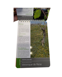 Flore des vignes, Pocket Guide for the Winemaker (French edition) by Nicolas Delabays & Christine Vaz