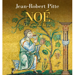 Noé : la vigne de la vie...