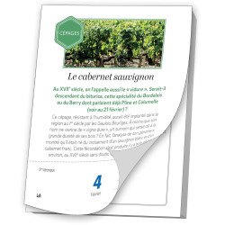 Les Almaniaks : Tous savoir sur le vin en 365 jours - une information par jour  (French Edition)