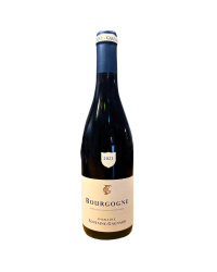 Burgundy Red 2022 | Wine from Domaine Fontaine-Gagnard