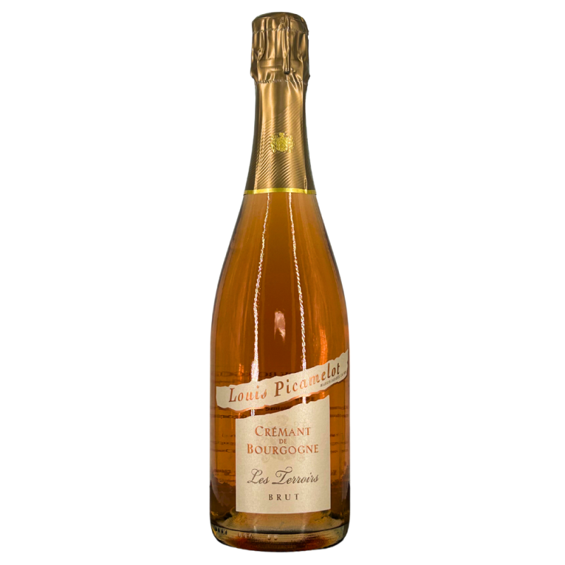 Crémant de Bourgogne Rosé Brut "Les Terroirs" | Wine from Domaine Louis Picamelot