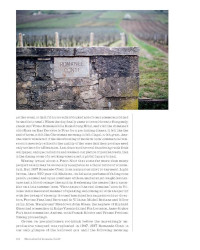 Who's Afraid of Romanée-Conti? (English edition): A Shortcut to Drinking Great Wines by Dan Keeling