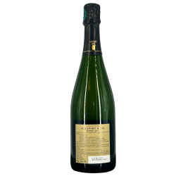 Champagne Grand Cru Extra-Brut Blanc de Blancs "Cuvée Minéral" 2017 | Wine from Domaine Pascal Agrapart