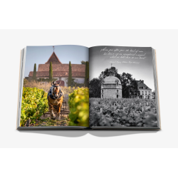 Wine and Travel France (English edition): Discovering the Country's Best Vineyards, Top Wines, and the Essence of Terroir