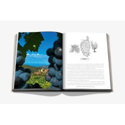 Wine and Travel France (English edition): Discovering the Country's Best Vineyards, Top Wines, and the Essence of Terroir