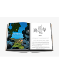 Wine and Travel France (English edition): Discovering the Country's Best Vineyards, Top Wines, and the Essence of Terroir