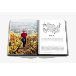 Wine and Travel France (English edition): Discovering the Country's Best Vineyards, Top Wines, and the Essence of Terroir