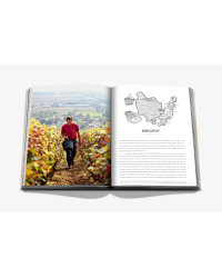 Wine and Travel France (English edition): Discovering the Country's Best Vineyards, Top Wines, and the Essence of Terroir