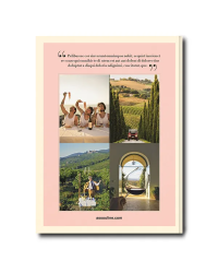 Wine and Travel Italy (English edition) Italian Terroir, Vineyards & Wines by Enrico Bernardo