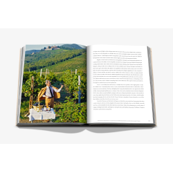 Wine and Travel Italy (English edition) Italian Terroir, Vineyards & Wines by Enrico Bernardo