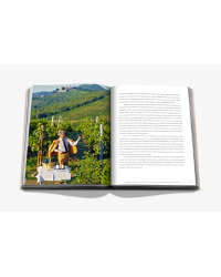 Wine and Travel Italy (English edition) Italian Terroir, Vineyards & Wines by Enrico Bernardo