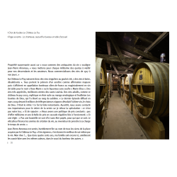 Winemakers of Bordeaux (French edition): a gallery of portraits in texts and photos by Marie-Laurence Prince Doutreloux