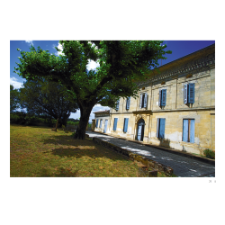 Winemakers of Bordeaux (French edition): a gallery of portraits in texts and photos by Marie-Laurence Prince Doutreloux