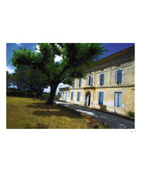 Winemakers of Bordeaux (French edition): a gallery of portraits in texts and photos by Marie-Laurence Prince Doutreloux