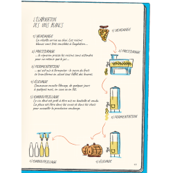 Oenologix (French edition): The Complete Guide - Everything You Need to Know About Wine in Comics by François Bachelot & Vincent