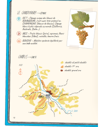 Oenologix (French edition): The Complete Guide - Everything You Need to Know About Wine in Comics by François Bachelot & Vincent